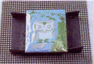 �q�ςT