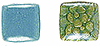 V562